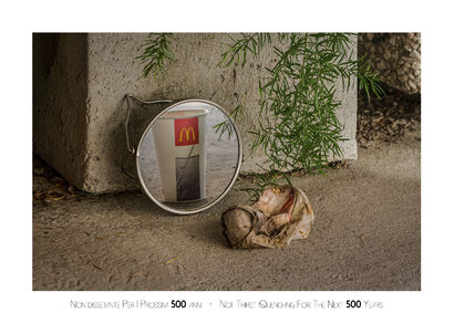 Reperti Futuri - a Photographic Art Artowrk by Luca Zonari Cane\'